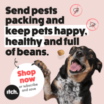 Itch petcare, fleas, ticks, lice, worms